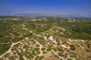 Family friendly house with a swimming pool Pucisca, Brac - 21243