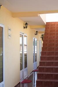 Apartments and Studios Anicic