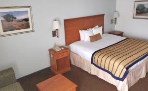 King Room room in Coratel Inn & Suites New Braunfels