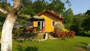 Domek w bieszczadzkim sadzie - Bóbrka