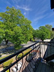 Szafranówka