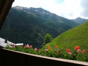 Berggasthaus Trojen