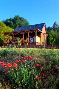 Domki Na Wzgórzu - domek nr 2 - Sniadowo