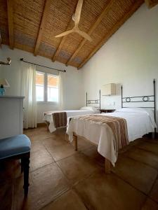 Auberge Santu Martine: cottage with pool (Vinza) img16