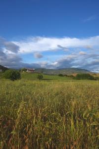 Auberge Santu Martine: cottage with pool (Vinza) img43