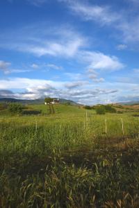 Auberge Santu Martine: cottage with pool (Vinza) img44