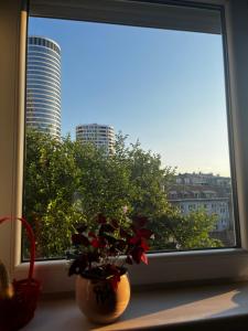 Apartman Sasha 1 - Ask for free parking