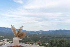 Αρχοντικό FoRRest