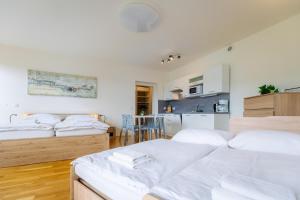 Horský apartmán Temari 12 Klínovec