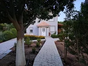 Studio Katafigi - Barbaliáki