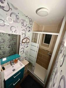 Appartements Le nid douillet : photos des chambres