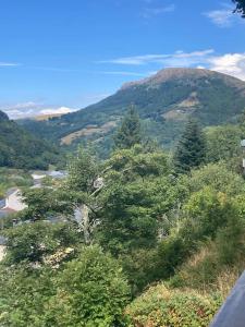 Appartements Le nid douillet : photos des chambres