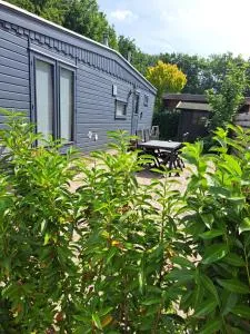 Vakantiehuisje Veluwe, Alleen Voor Recreatie - 皮滕