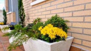 El Ático de Anat Confort y estilo