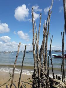 Appartements Naturel'plage : photos des chambres