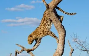 WUNDERBAR. Über den Dächern - Oberteuringen