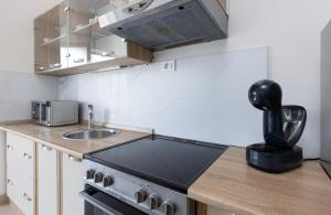 Apartment Ana -free large private parking available