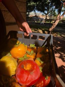 Locanda Su mere b&d img16