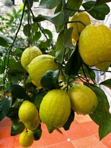 Locanda Su mere b&d img22