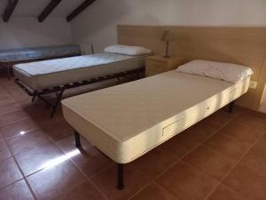 Appartements Appartement de vacances Marine de Bravone - Corse : photos des chambres