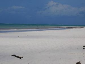 Suite apartment, pool, beach access nearby C224