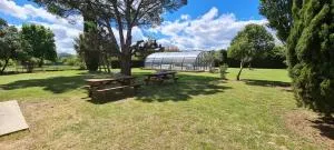 L'art des choix - 萨拉瓦