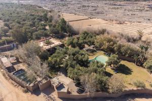 Douiria salix agafay