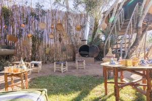 Douiria salix agafay