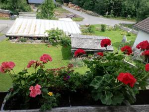 Ferienwohnung Sapatho