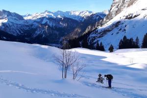 Appartements Appartement Les Dents Blanches - Samoens Centre : photos des chambres