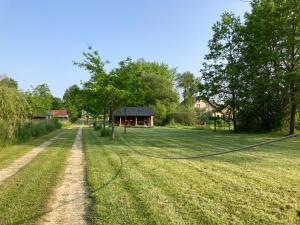 Leśne zacisze-pole namiotowe