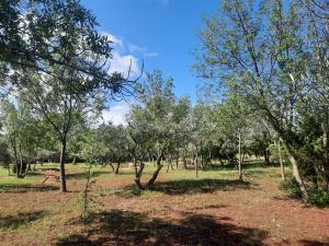 Relais du Salagou - Chalets climatisés proche Lac du Salagou