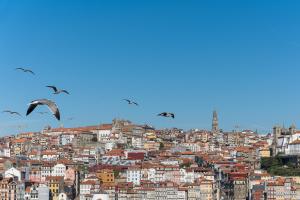 Dream Views of Porto - Private Apt in Gaia w 2 bedrooms!