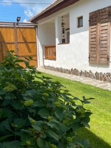 La Novaci Porumbacu de Sus 270