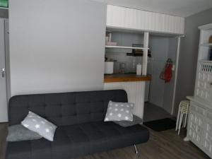 Appartements Location au pied des pistes, Prapoutel, 6 pers, 33m², balcon, skis aux pieds - FR-1-557-50 : photos des chambres