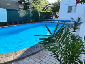 Vila Fifi Costinesti