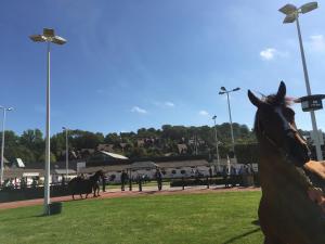 Appartements Balcon sur Sea, Sun and Horses : photos des chambres