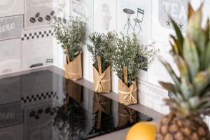 Turzycowa Apartment in Gdansk by Renters