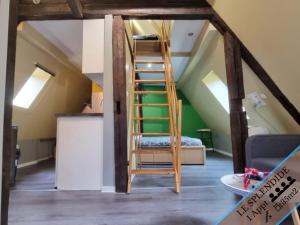 Appartements Splendide Appartement Barr - Route du Vins : photos des chambres