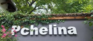 Family Hotel Pchelina