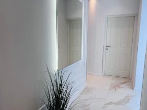 Zeus Design Apartment Schlosspark Schönbrunn