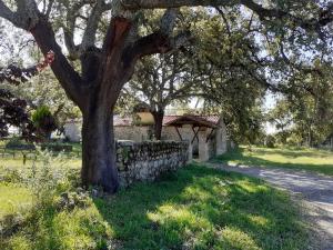 Casa da Vinha