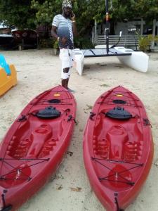 Seacret Studios - Cozy Jamaican Retreat apts