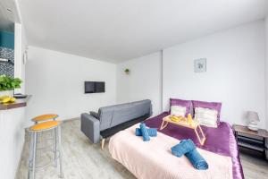 Appartements Le sublime, aeroport CDG, RER B, Parc asterix, Stade de France : photos des chambres