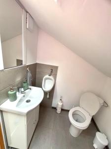 Gyimesi kulcsosház Casa de vacanta Ghimes