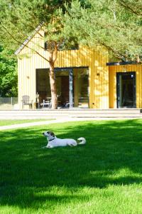 Wioska Radoska - Żółta Stodoła na mazurach przez cały rok