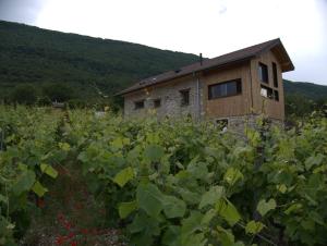 Maisons d'hotes La Char'Vigne : Studio Familial