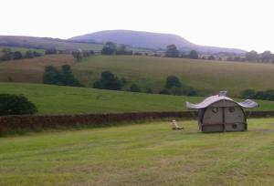 Little Middop Farm Camping Pods
