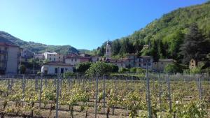 Agriturismo A Cà du Paipèru