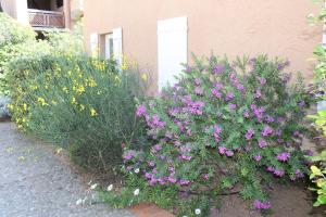 Apartement Pinede